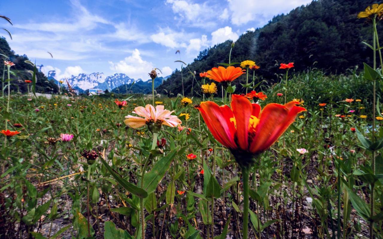 Whispering Mountains Boutique Hotel 張家界市 エクステリア 写真