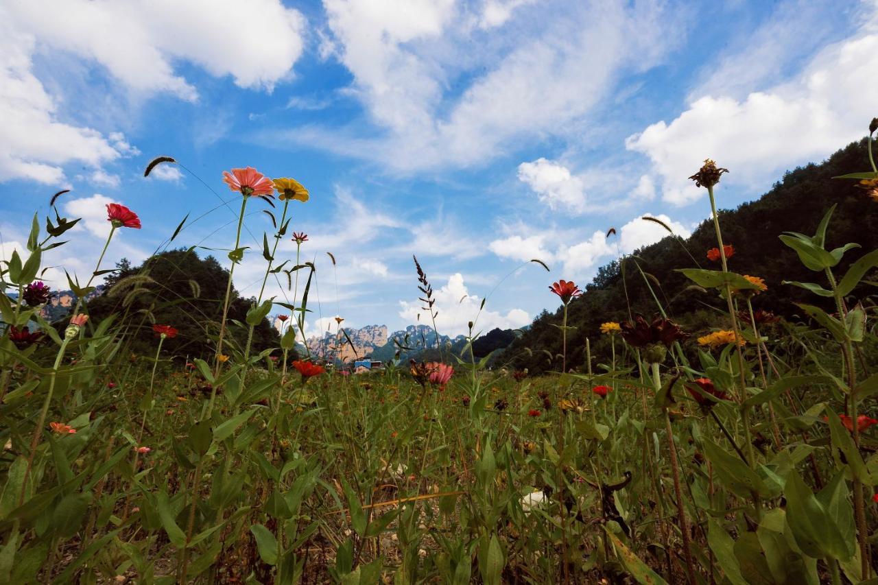 Whispering Mountains Boutique Hotel 張家界市 エクステリア 写真