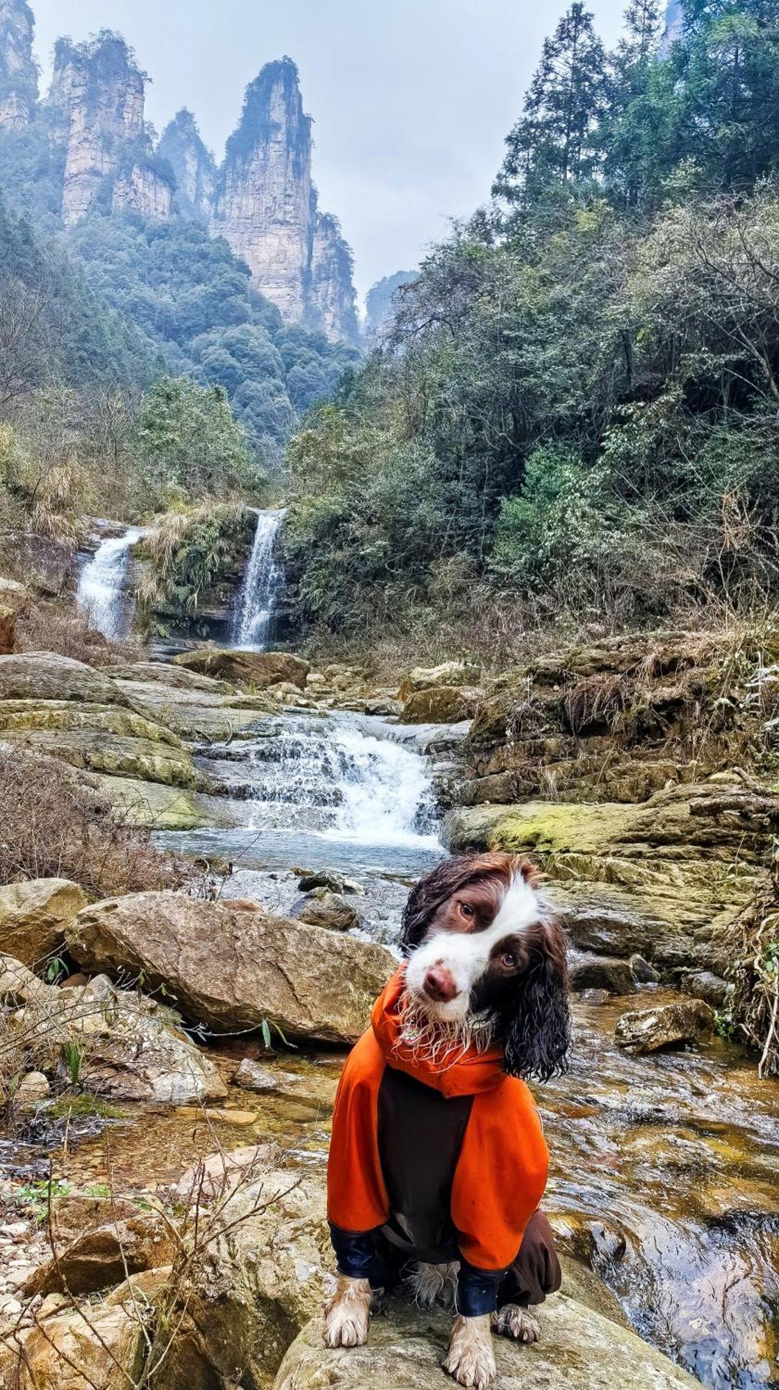 Whispering Mountains Boutique Hotel 張家界市 エクステリア 写真